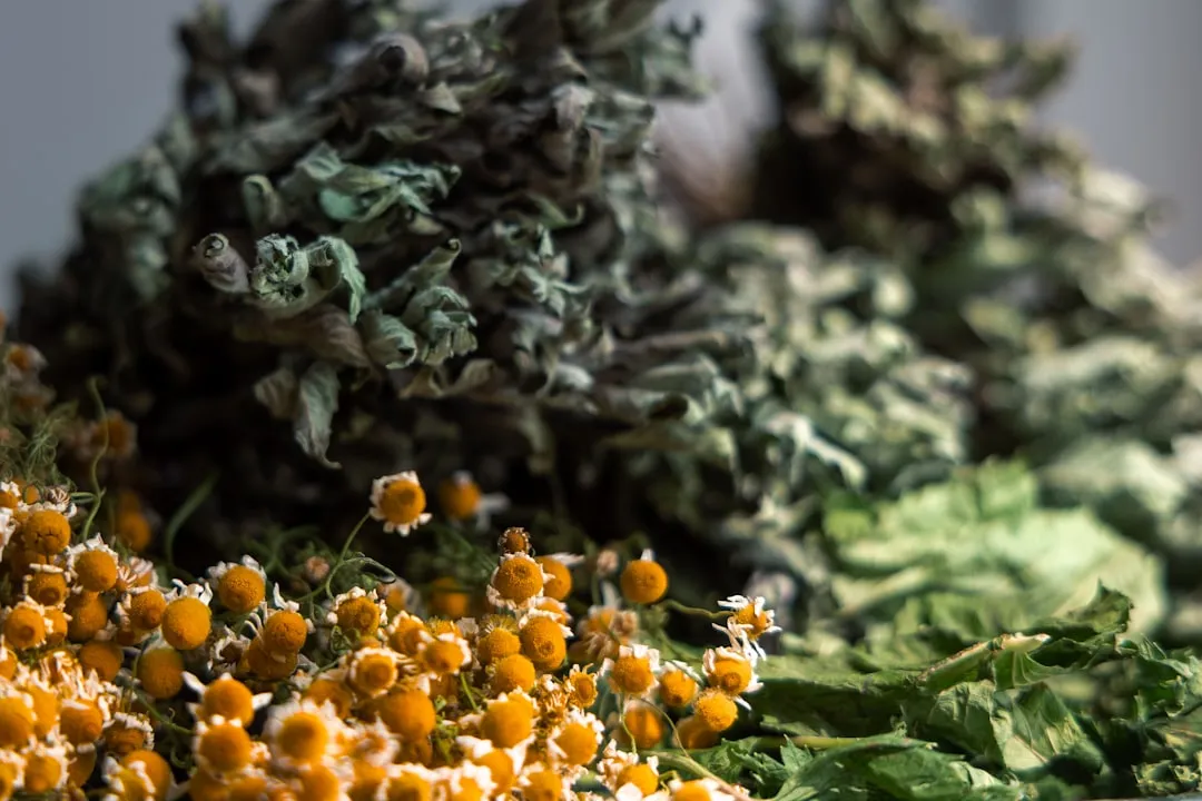 侗族银饰深浮雕工艺解析：杨槐钢谈錾花技法在银壶银碗中的应用