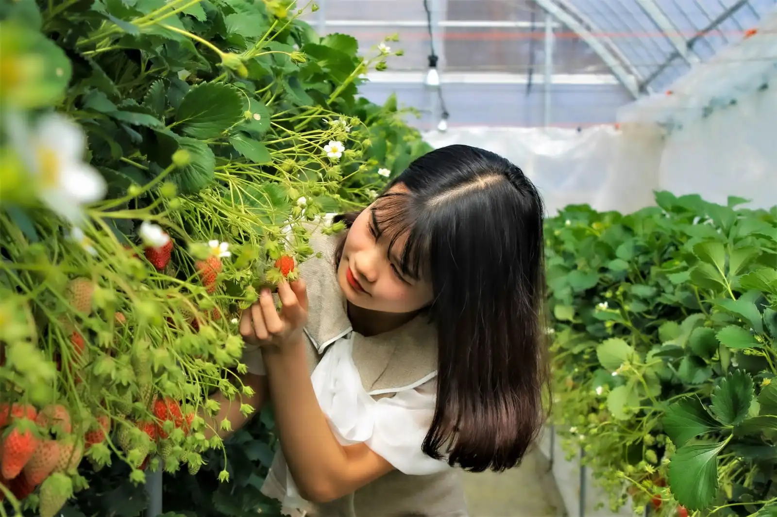 侗族银饰深浮雕工艺解析：杨槐钢谈錾花技术在现代银器制作中的应用